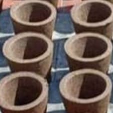 Cow Dung Gift Cup : Pack of 6 Nos: